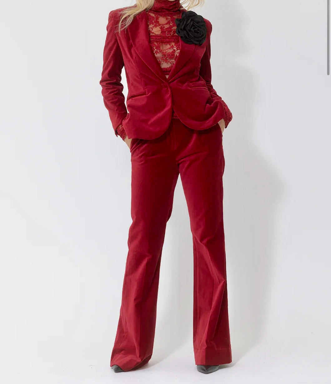 Velvet Bootleg Pant In Ruby By Joey The Label